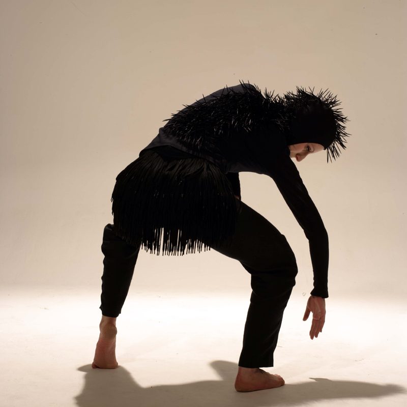 Black Toothpick Spine - Dr. Jessica Bugg